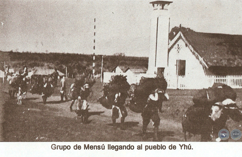CULTURAS DE LA SELVA 1975/1979 - ENSAYO DE RAMIRO DOMÍNGUEZ